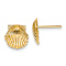14k Yellow Gold Textured 9mm Scallop Shell Stud Earrings