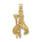 14k Yellow Gold 3D Textured Aquarius Zodiac pendant