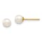 14K Yellow Gold 4-5mm White Round Freshwater Cultured Pearl Stud Post Earrings