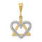 14k Yellow Gold and 14k White Gold Star of David with Heart Pendant