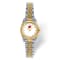 LogoArt University of Wisconsin Pro Two-tone Ladies Watch
