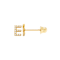 14k Yellow Gold Initial Earrings -E