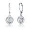 CZ Halo Drop Earrings In White Rhodium Over Brass