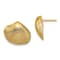 14k Yellow Gold Textured Clam Shell Stud Earrings