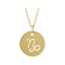 14K Yellow Gold Capricorn Zodiac Disc Pendant With Chain