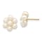 10k Yellow Gold 3-4mm White Egg Freshwater Cultured Pearl 11mm Flower
Stud Earrings