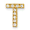 10k Yellow Gold 0.09 cttw Diamond Letter T Initial Charm