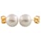 7-7.5mm Cultured Freshwater Pearl Stud Earrings in 14k Yellow Gold