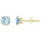 5mm Round Aquamarine 10k Yellow Gold Stud Earrings