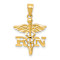 14k Yellow Gold Diamond-Cut and Textured RN Pendant