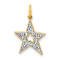 10k Yellow Gold and Rhodium Over 10k Yellow Gold Diamond Star Charm