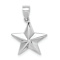 Rhodium Over 14k White Gold Polished Star Pendant