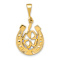 14k Yellow Gold Textured Good Luck Clover Pendant