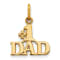 14K Yellow Gold #1 DAD Charm