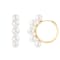 White Cultured Freshwater Pearl 14k Yellow Gold Earrings 6-6.5mm