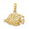 14k Yellow Gold Polished and Textured Fish Charm