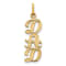 14k Yellow Gold Textured Dad Pendant