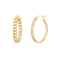 14K Yellow Gold Over Brass Curb Link Oval Hoop Earrings
