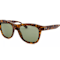 Saint Laurent Brown Tortoise Frame / Green Lenses Sunglasses