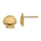 14k Yellow Gold Textured Scallop Shell Stud Earrings