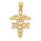 14k Yellow Gold Diamond-Cut, Textured and Polished RN Nurse Pendant
