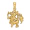 14k Yellow Gold 3D Textured Large Aquarius Zodiac pendant