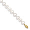 10k Yellow Gold 8-9mm White Near Round Freshwater Cultured Pearl Bracelet