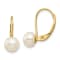 14K Yellow Gold 6-7mm White Button Freshwater Cultured Pearl Leverback Earrings
