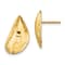 14K Yellow Gold Mussel Shell Stud Earrings