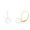 14k Yellow Gold Leverback 8-8.5mm Akoya Pearl Earrings