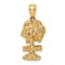 14k Yellow Gold Textured Aruba On Palm Tree Pendant