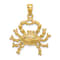 14k Yellow Gold 3D Textured Large Cancer Zodiac pendant