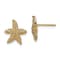 14k Yellow Gold Textured Starfish Stud Earrings