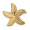 14k Yellow Gold Polished and Textured Starfish Slide Charm