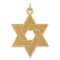 14k Yellow Gold Laser Designed and Satin Star of David Pendant