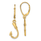 14k Yellow Gold 3D Fish Hook Dangle Earrings