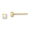 14K Yellow Gold Synthetic Lab Created Opal Post Earrings