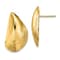 14K Yellow Gold Polished Mussel Shell Stud Earrings