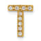 14K Yellow Gold Diamond Letter T Initial Charm
