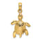 14K Yellow Gold Polished Turtle with Textured Shell Charm