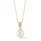 Rachel Zoe Freshwater Pearl and CZ Pendant Necklace in 14K Gold Over
Sterling Silver