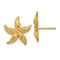 14K Yellow Gold Textured Starfish Stud Earrings