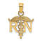 14k Yellow Gold RN Registered Nurse Pendant