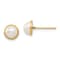 14k Yellow Gold 5-6mm White Button Freshwater Cultured Pearl Stud Earrings