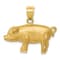 14k Yellow Gold Brushed and Diamond-Cut Pig Pendant
