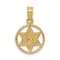 14k Yellow Gold Textured Star of David in Circle Frame Pendant