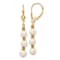 14K Yellow Gold 5-6mm White Semi-round Freshwater Cultured Pearl
Leverback Earrings