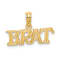 14k Yellow Gold Polished and Textured BRAT Charm