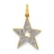 14K Two-tone Gold Diamond Star Charm