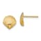 14k Yellow Gold 8mm Scallop Shell Stud Earrings